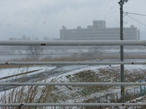 上越はすごい雪 上越はすごい雪
