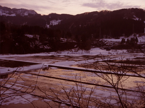 早川の田