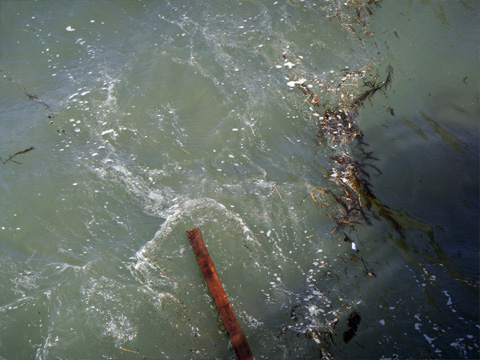 流れ着いた角材