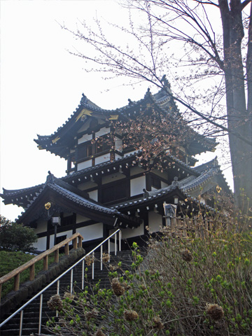 高田城と桜