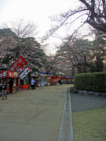 高田の桜と屋台