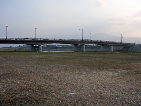 関川中央橋 関川中央橋