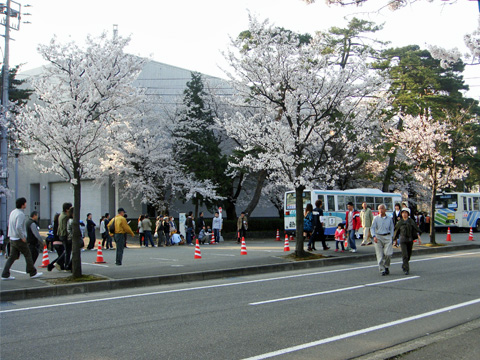 高田公園の入り口にて 高田公園の入り口にて