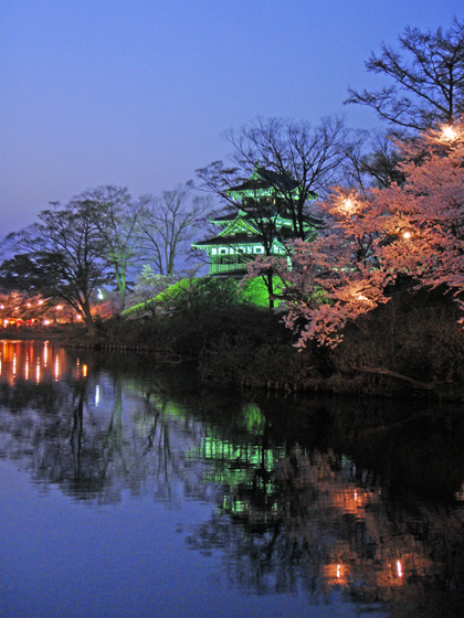 高田公園の夜桜2 高田公園の夜桜2