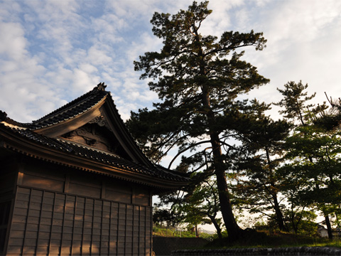 秋葉神社 秋葉神社