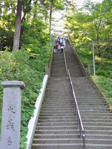 春日山神社の階段