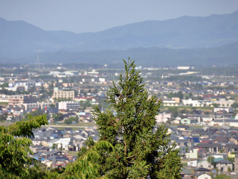 階段を登り終えた先の上越