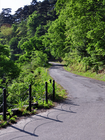 春日山城跡への道