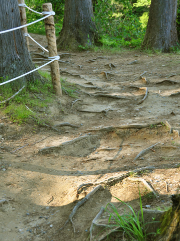春日山城跡への道
