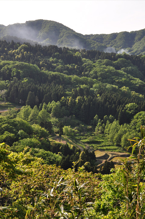 本丸跡からの山々