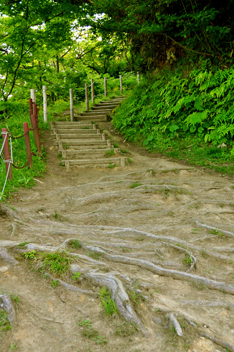 本丸への最後の道
