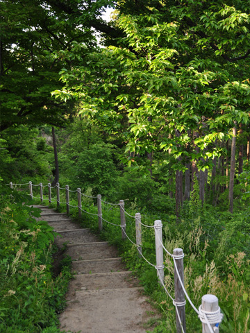 二の丸あたりの帰り道