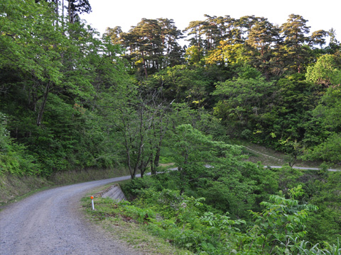 春日山神社への帰り道