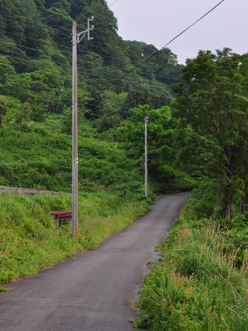 能生・新道山への山道 能生・新道山への山道