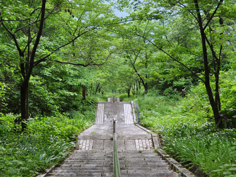 能生・新道山公園の階段