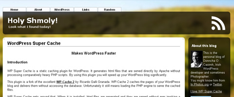 WP Super Cache WP Super Cache