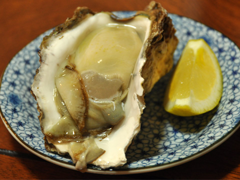 糸魚川の牡蠣