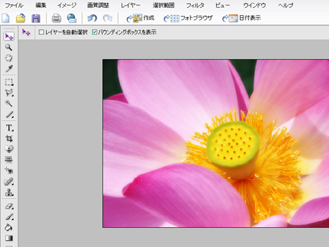 オーバーレイ後の蓮の花