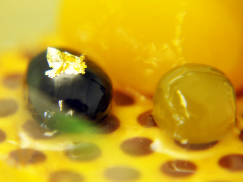 カラメルかぼちゃ2 カラメルかぼちゃ2