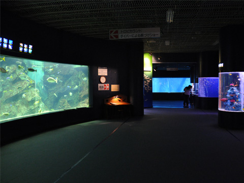 上越市立水族博物館2 上越市立水族博物館2
