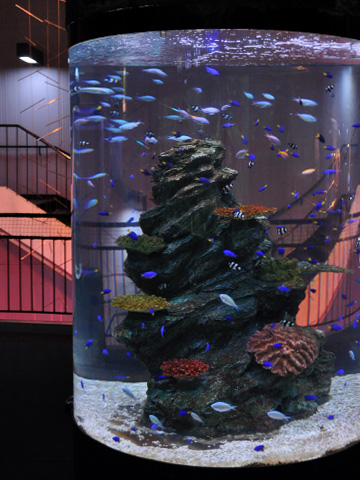 上越市立水族博物館3 上越市立水族博物館3