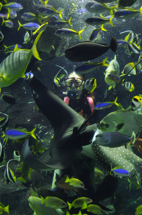 上越市立水族博物館8 上越市立水族博物館8