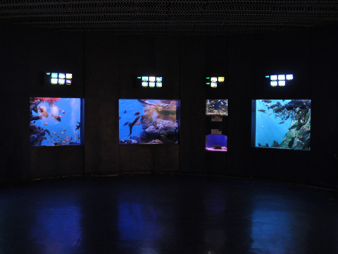 上越市立水族博物館1 上越市立水族博物館1