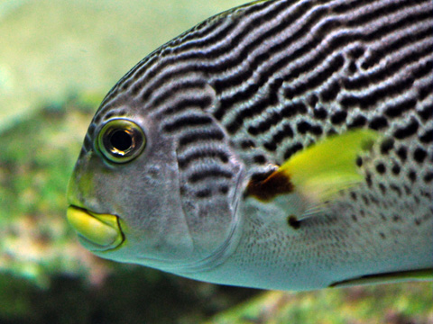 上越市立水族博物館6 上越市立水族博物館6