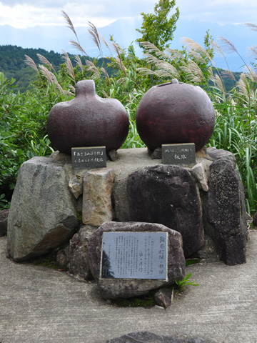 光ヶ原高原４