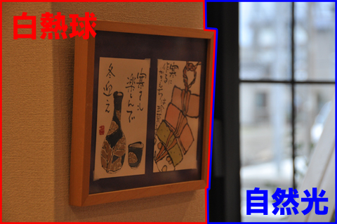 フォトショップでホワイトバランスを調整3 フォトショップでホワイトバランスを調整3