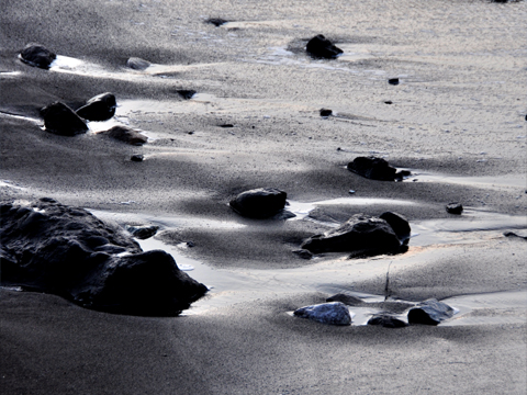 波が引いた後の砂浜