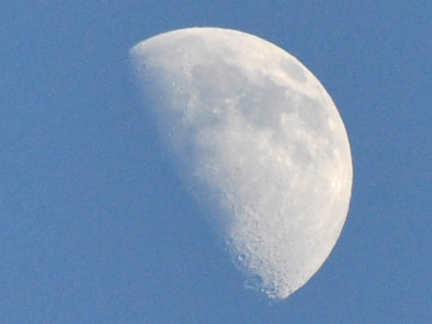 北向観音からみた昼の月