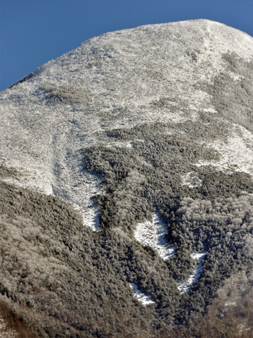白樺湖からみた雪山