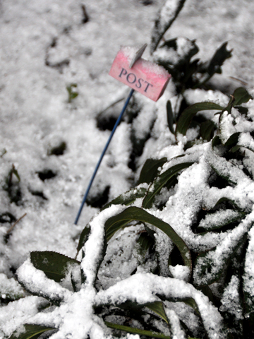 草と雪 草と雪