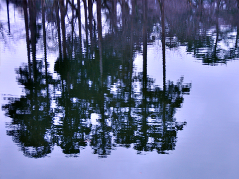 お堀への映りこみ