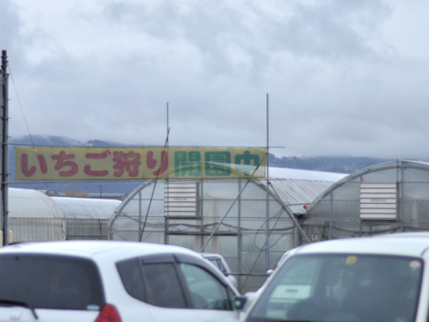 いちご狩りの温室