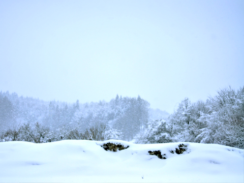 帰り道での雪景色
