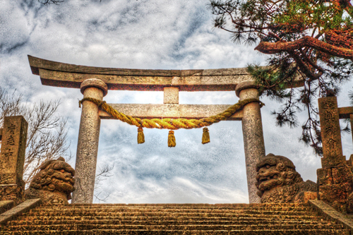 白山神社の鳥居 白山神社の鳥居