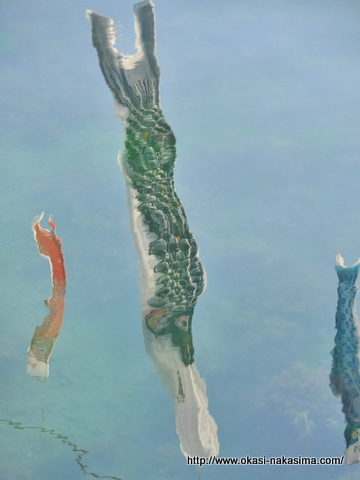 海に泳ぐ鯉のぼり