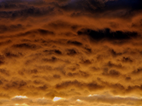 雲