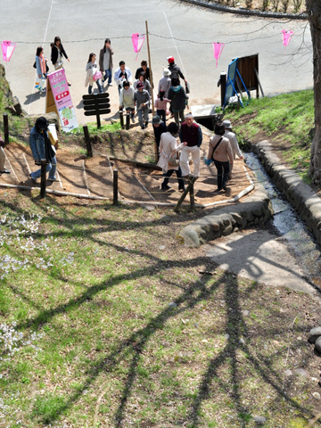 桜の影が伸びる 桜の影が伸びる