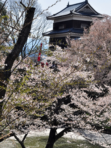 花びらの行きつく先 花びらの行きつく先