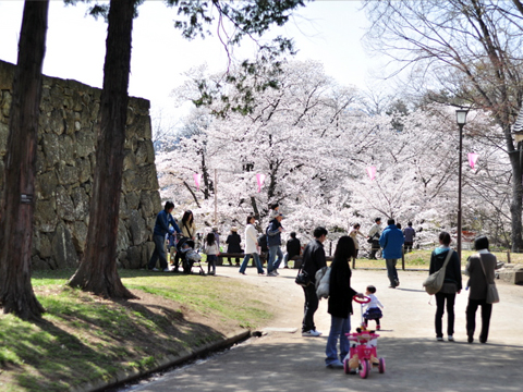 上田城千本桜まつりの帰り道 上田城千本桜まつりの帰り道