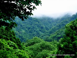 霧かかる山々