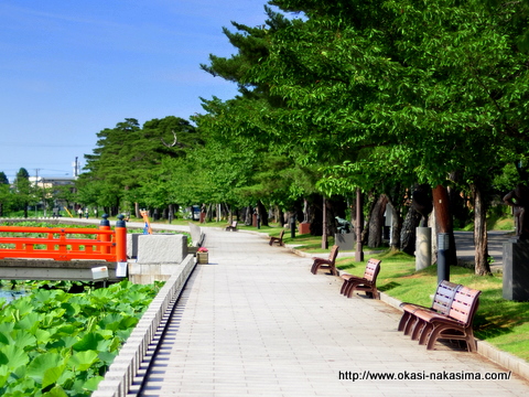 高田公園の池の周縁