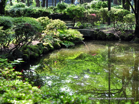 池への写りこみ