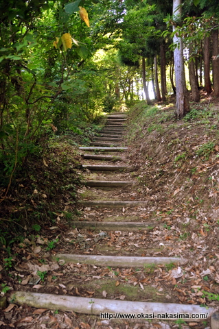 鮫ヶ尾城までの道