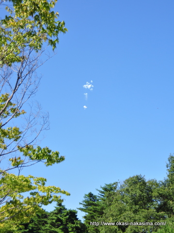 日本海クラシックカーレビュー開催の花火