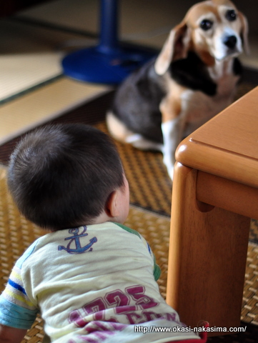 モモちゃんと対峙する息子