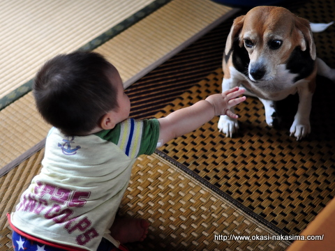 手を伸ばす息子